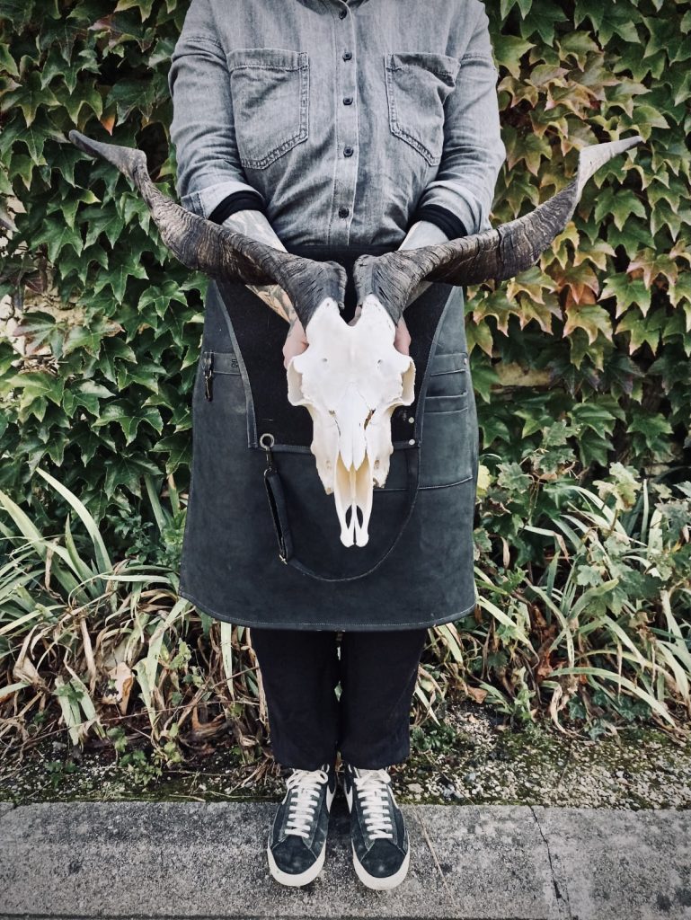 Crâne de Mouflon